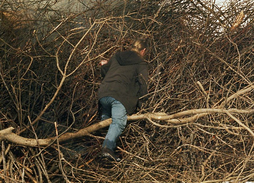 Burning Brush Detail