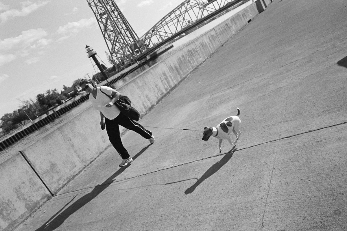 Running dog in canal park.