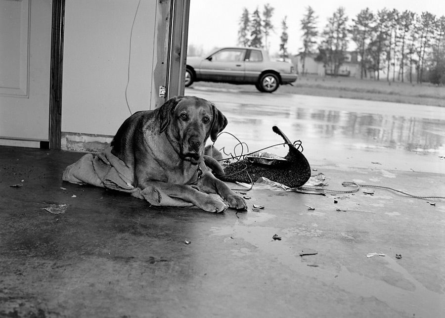 Ike Makes a Mess - 2004