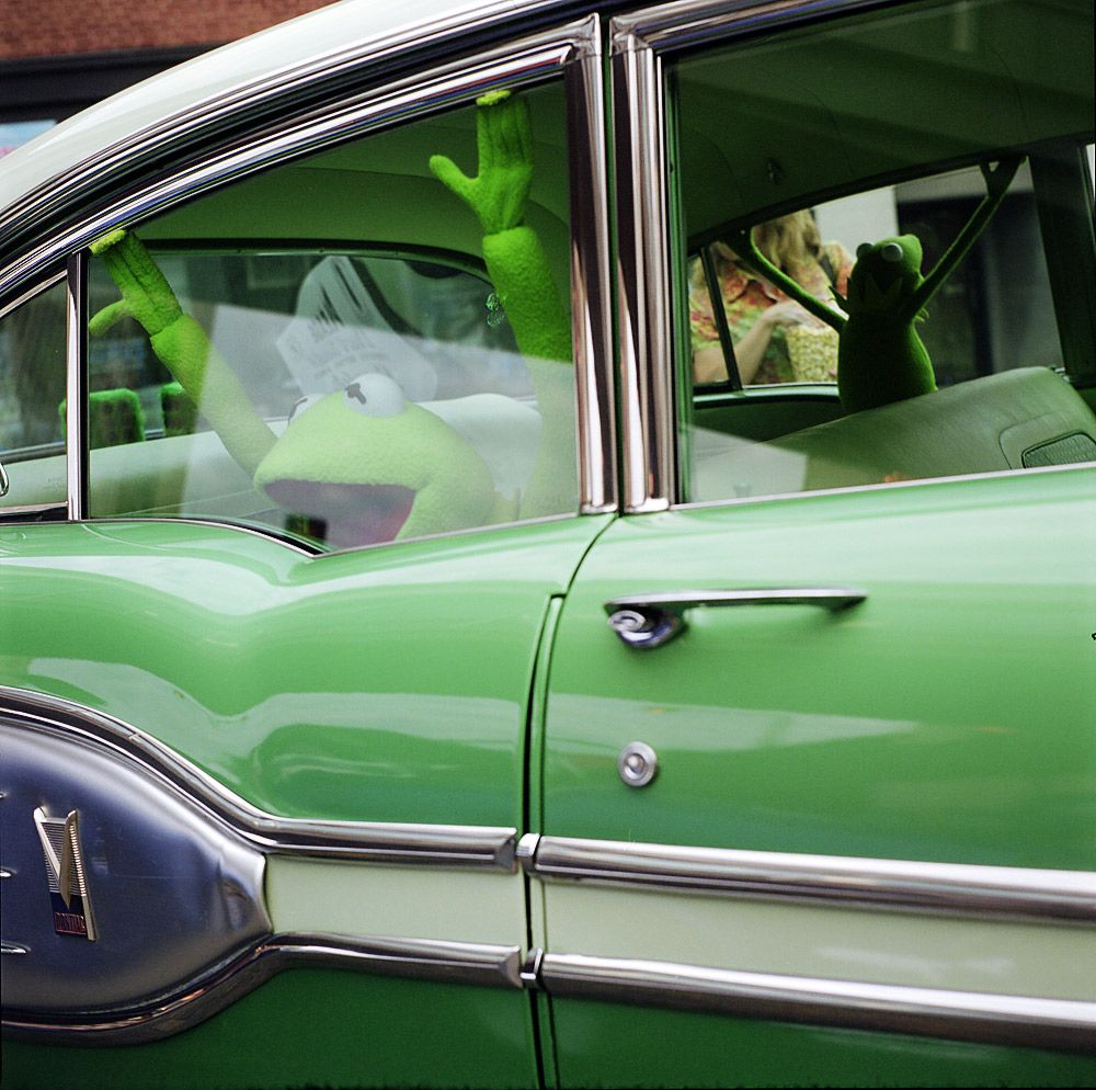 Kermit 2010