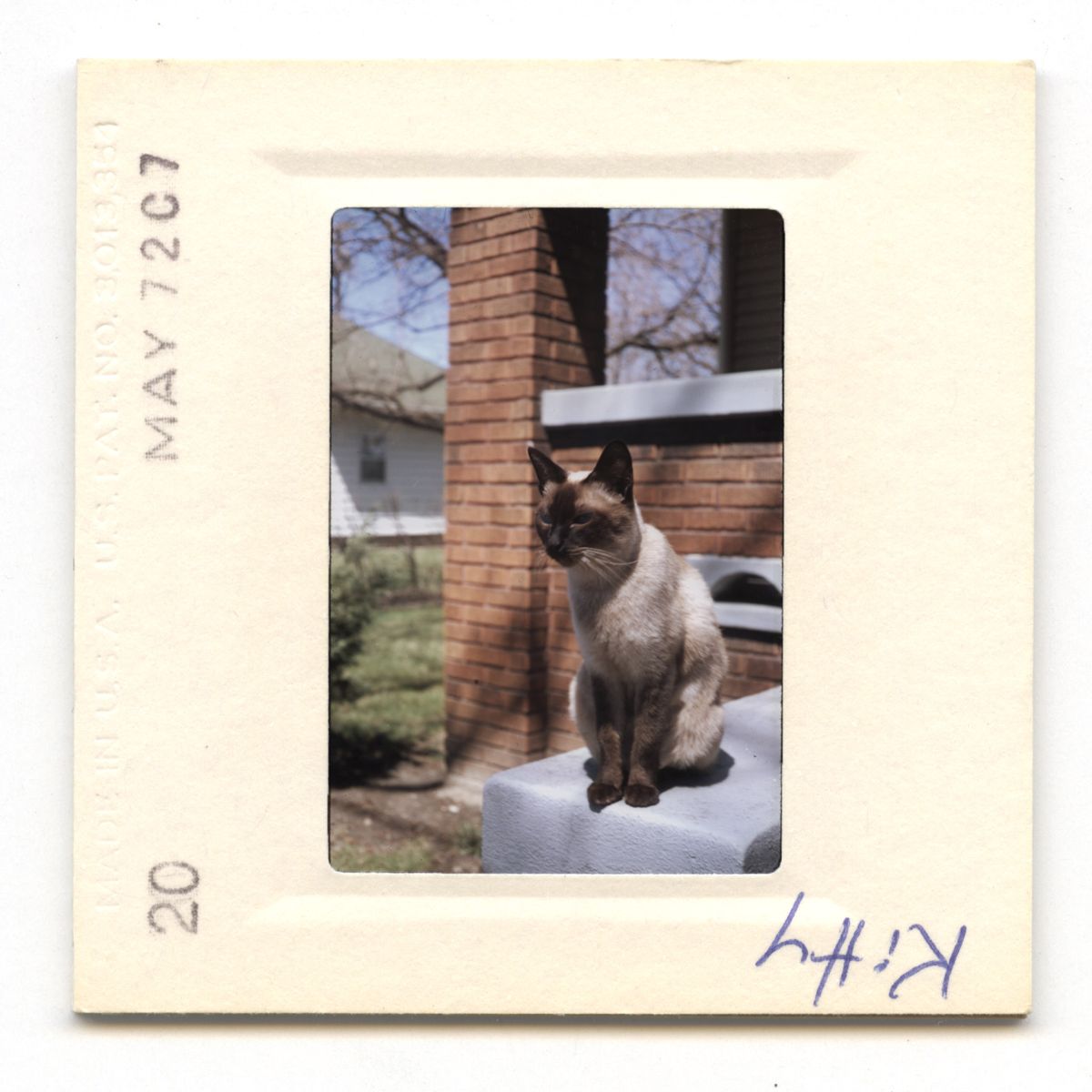 Kitty - 1972