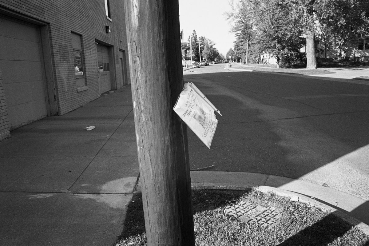 Lost cat poster falling down.