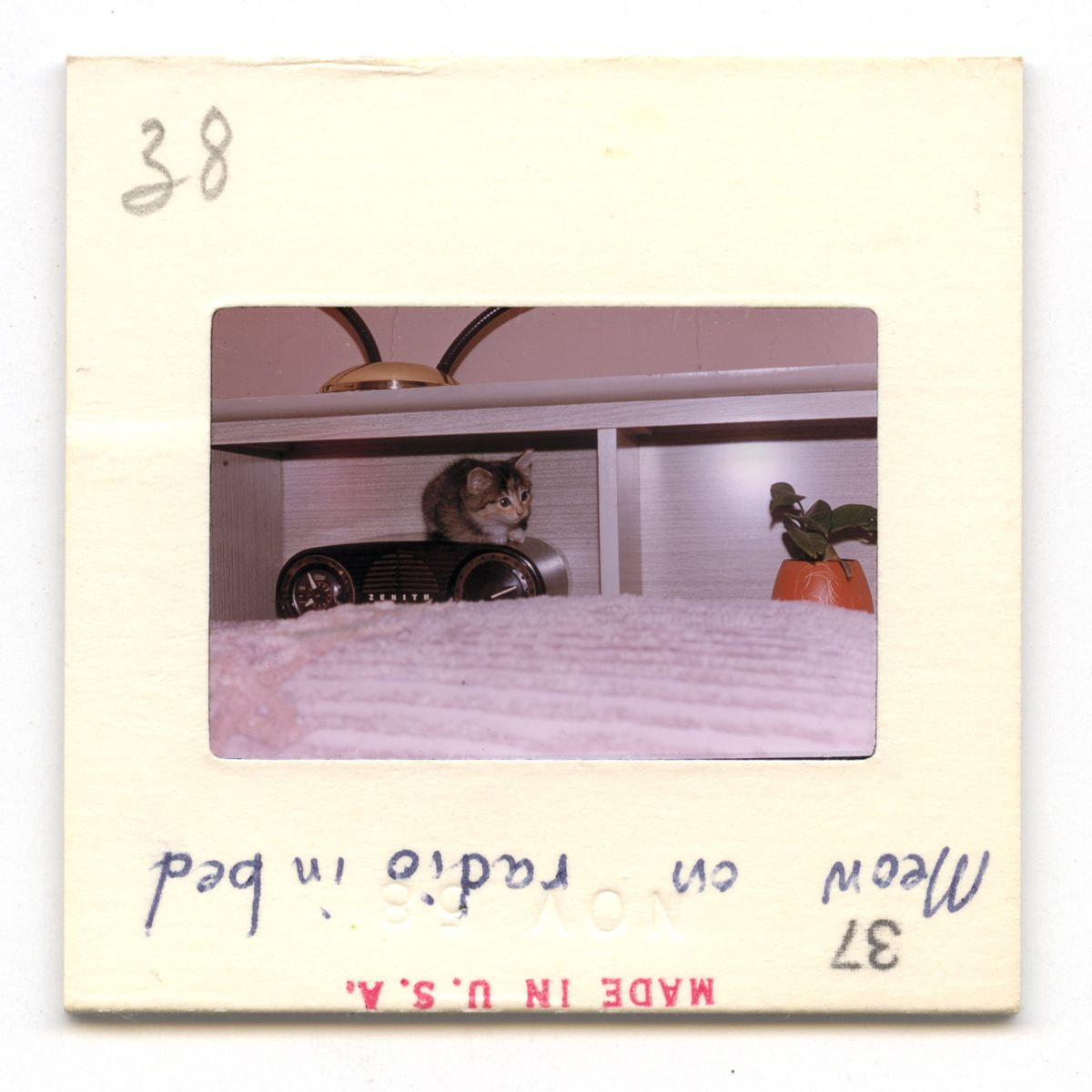 Meow On Radio - 1958