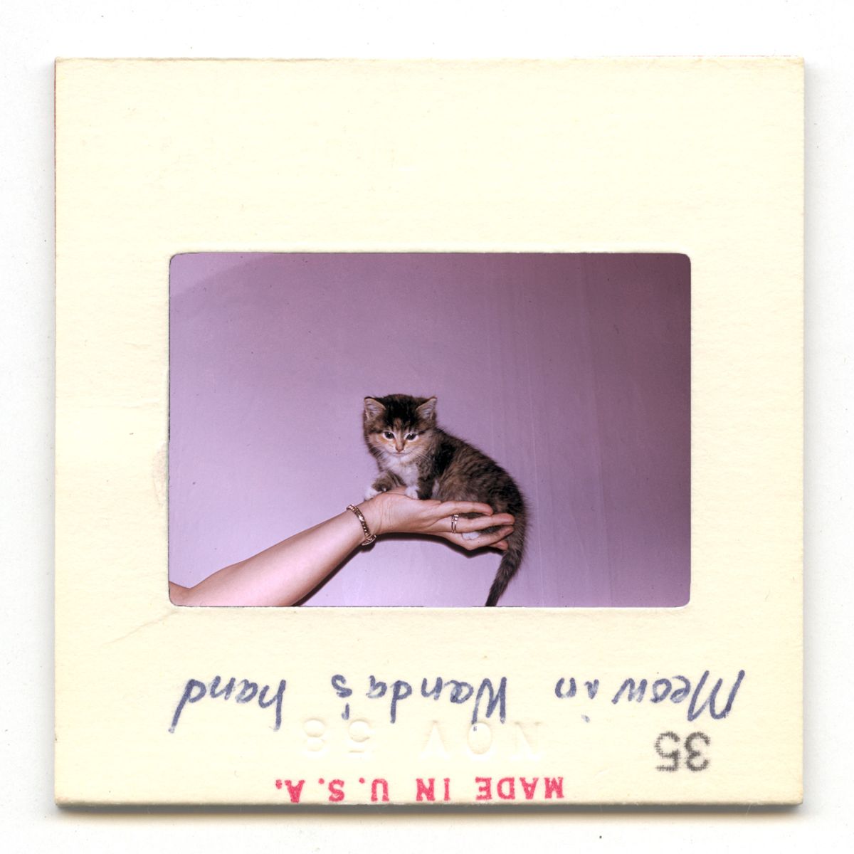 Meow in Wanda&amp;amp;#39;s Hand - 1958