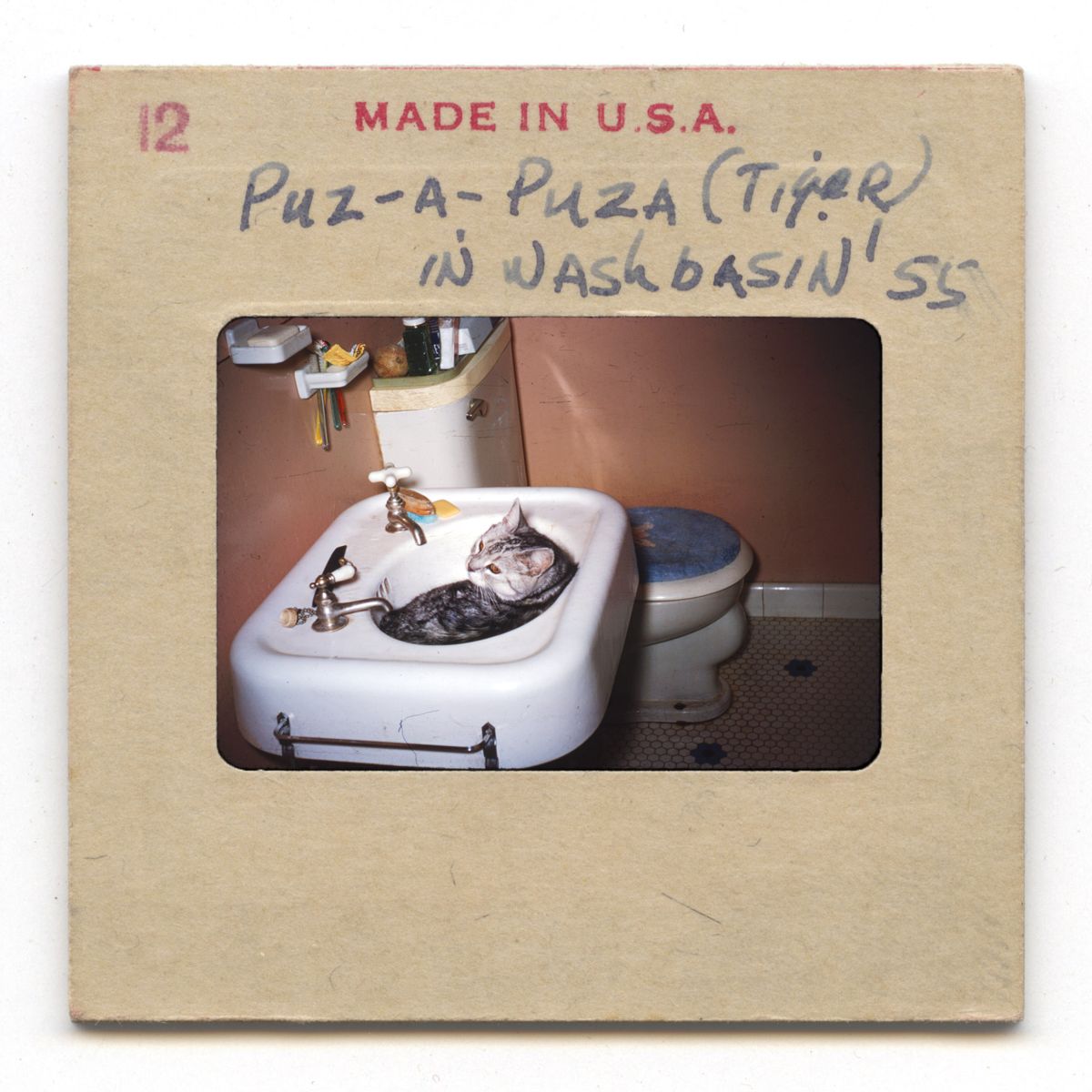 Puz-a-Puza (Tiger) In Washbasin -1955