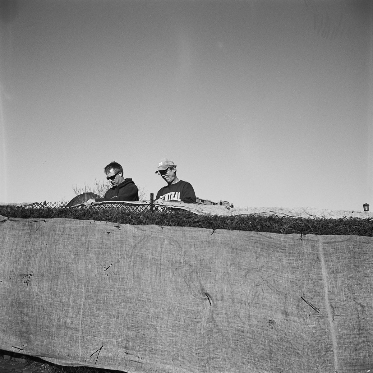 Rose Garden Workers