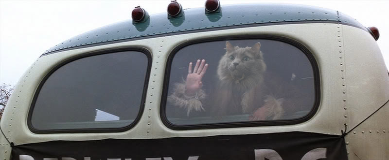 Forrest Gump bus scene with Smoky instead of Jenny
