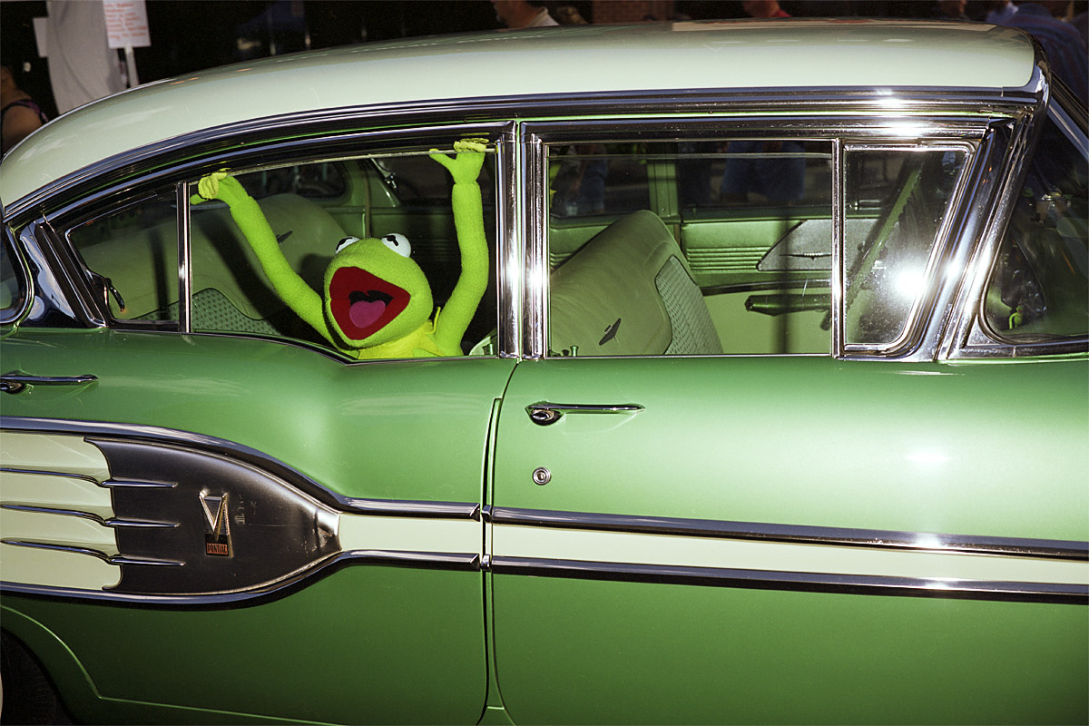 Kermit 2011
