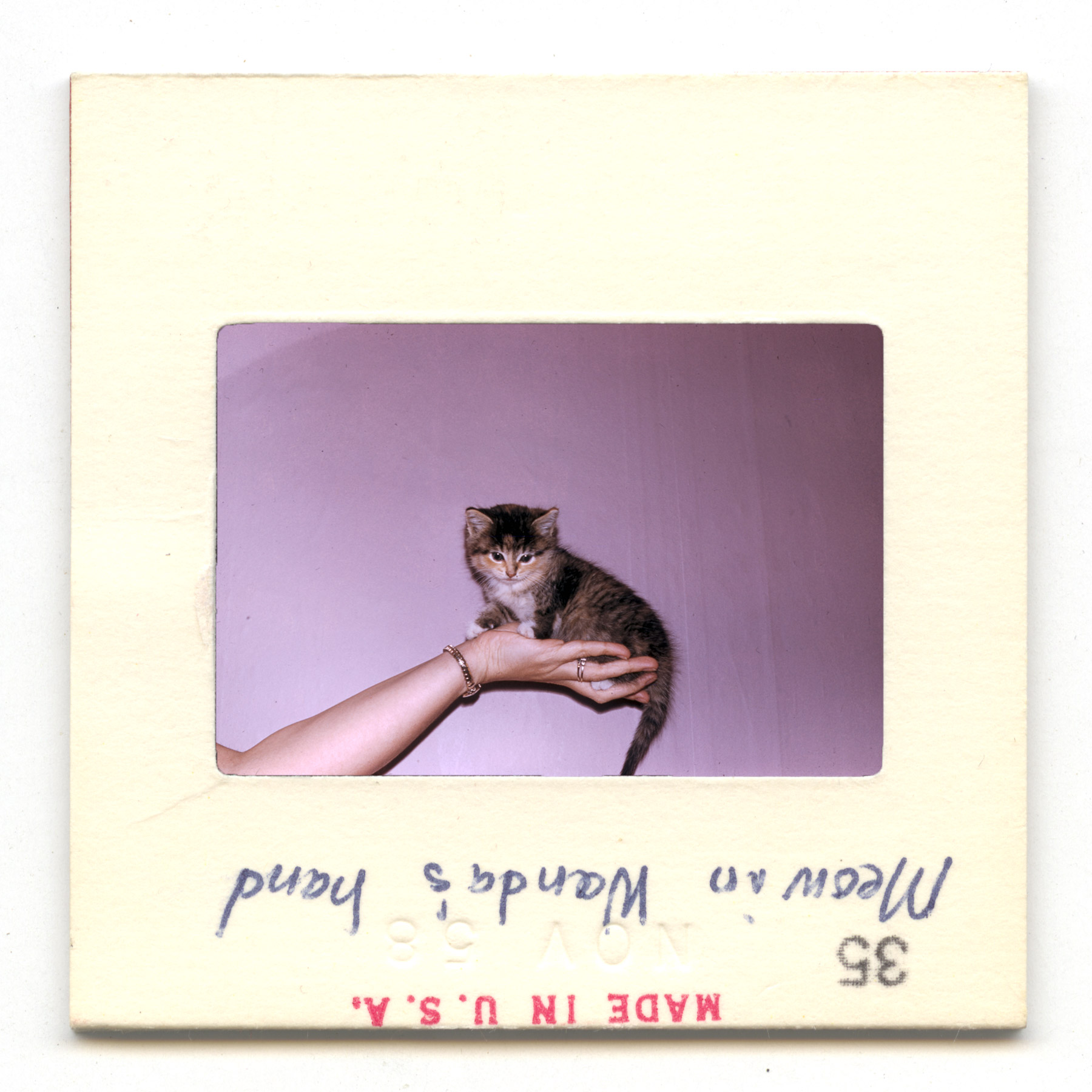 Meow in Wanda&amp;amp;#39;s Hand - 1958