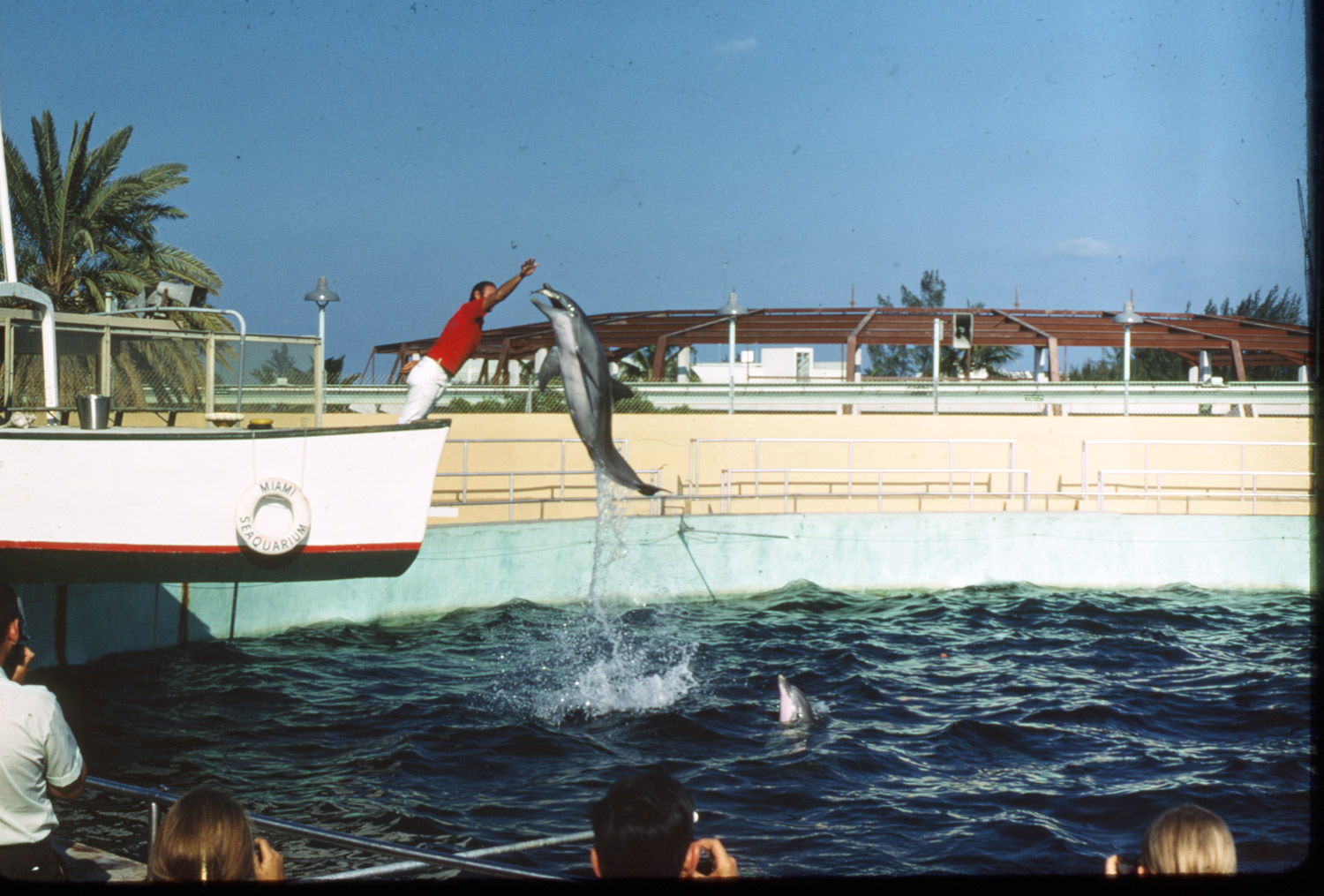 Miami Seaquarieum - May 1970