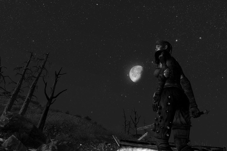 Fallout 3: Moonlight Raider