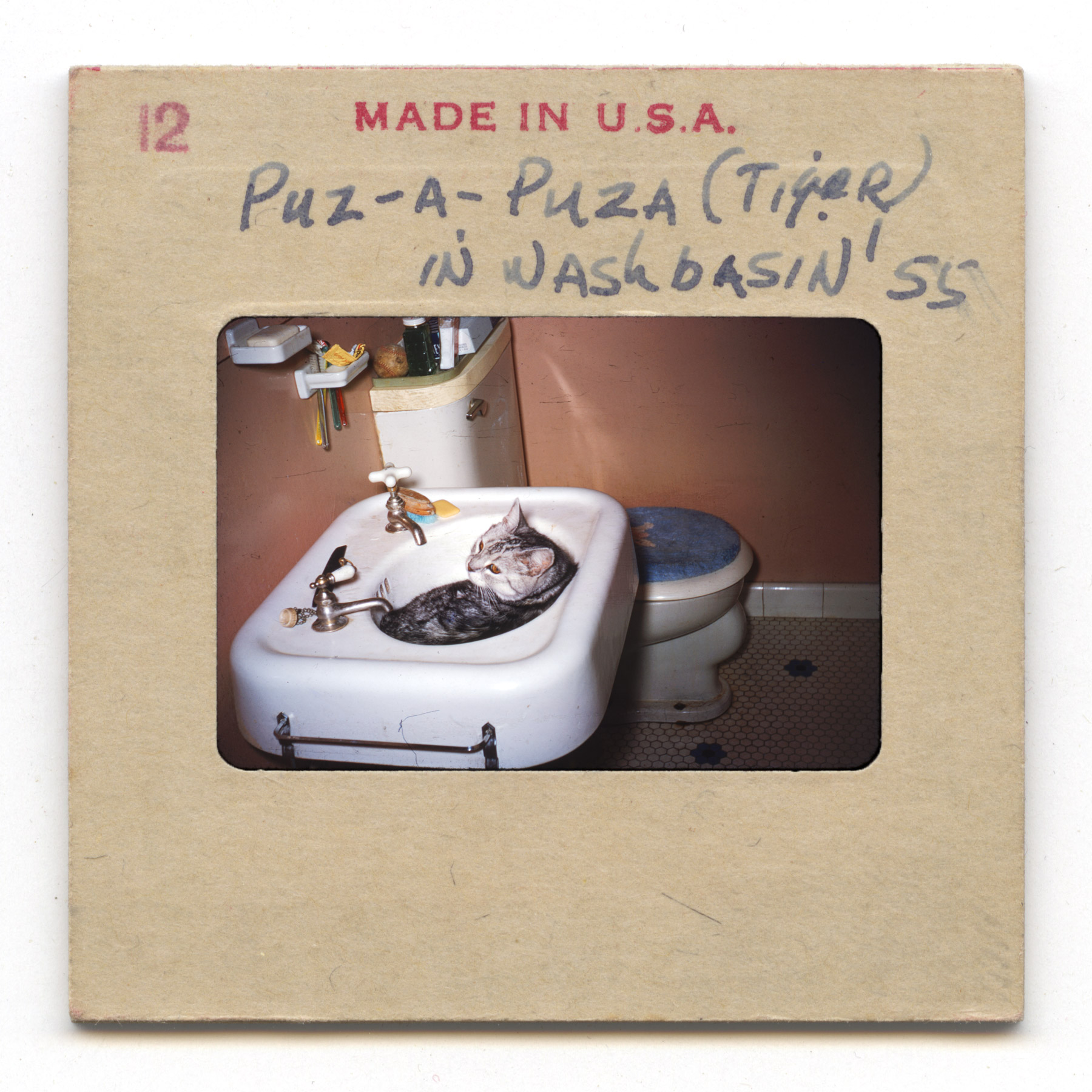 Puz-a-Puza (Tiger) In Washbasin -1955