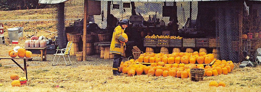 Joel Sternfeld Pumpkin Detail