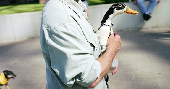 A Marathon of Photography. Part II