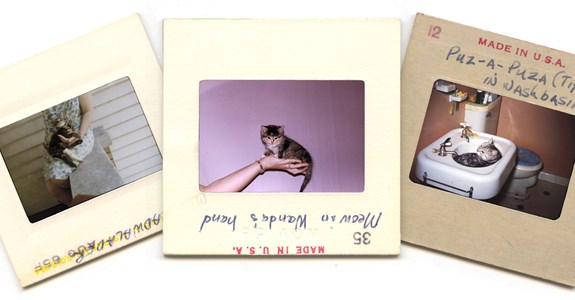 Found Photos, Vintage Cat Edition