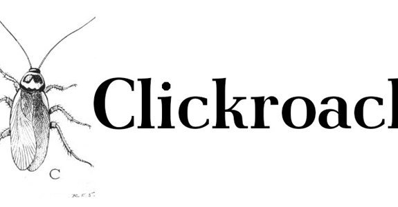 Photography Entomology