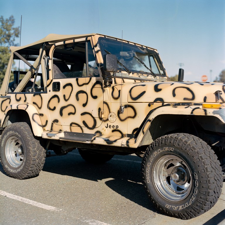 Leopard Print Jeep