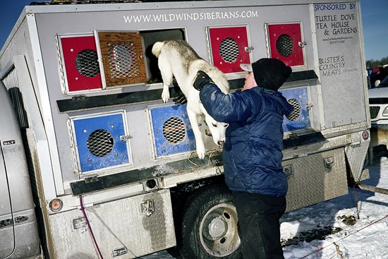 Helping a Dog Out, January 2011