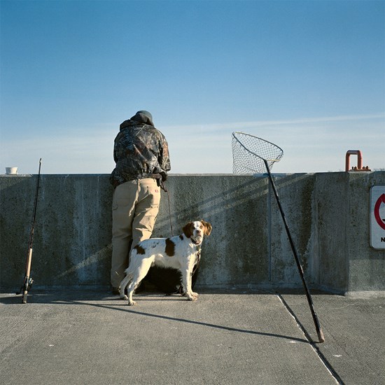 A Fisherman's Dog, Duluth, Minnesota, March 2010