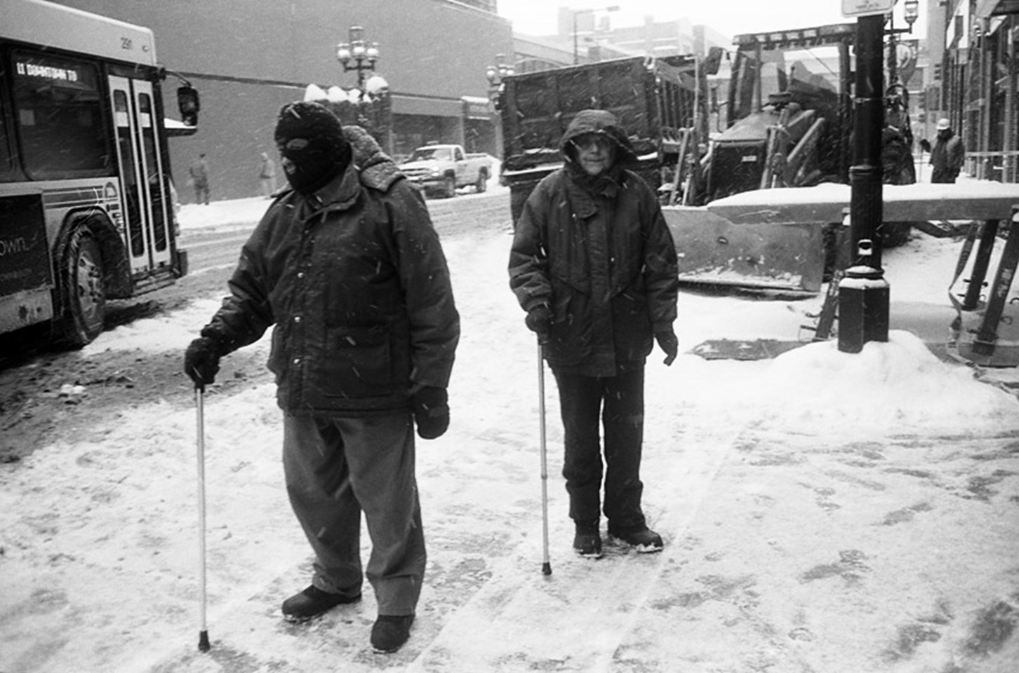 Snow Canes, Duluth, Minnesota, December 2008