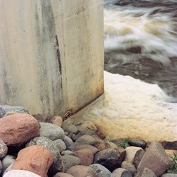Foam