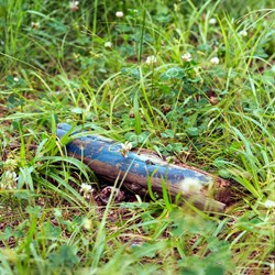 Painted Blue Stick