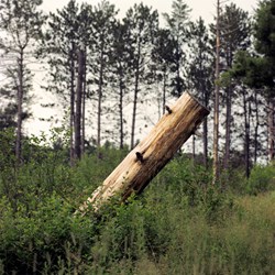Stump