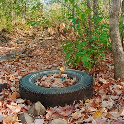 A Fall Tire - Study 1