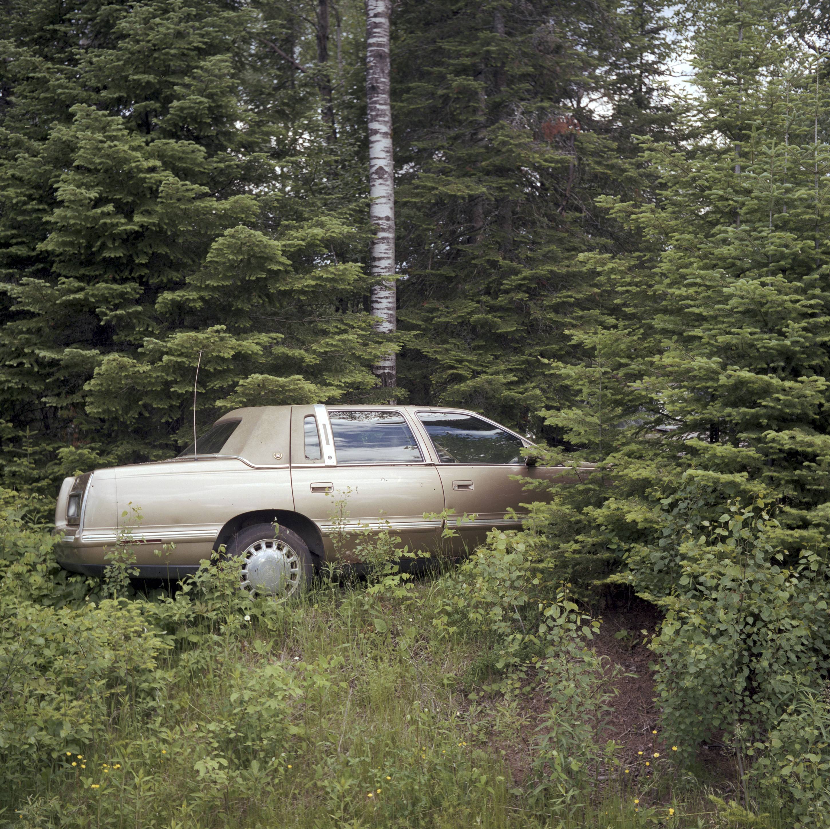 Cadillac In The Woods, Duluth, Minnesota, June 2017