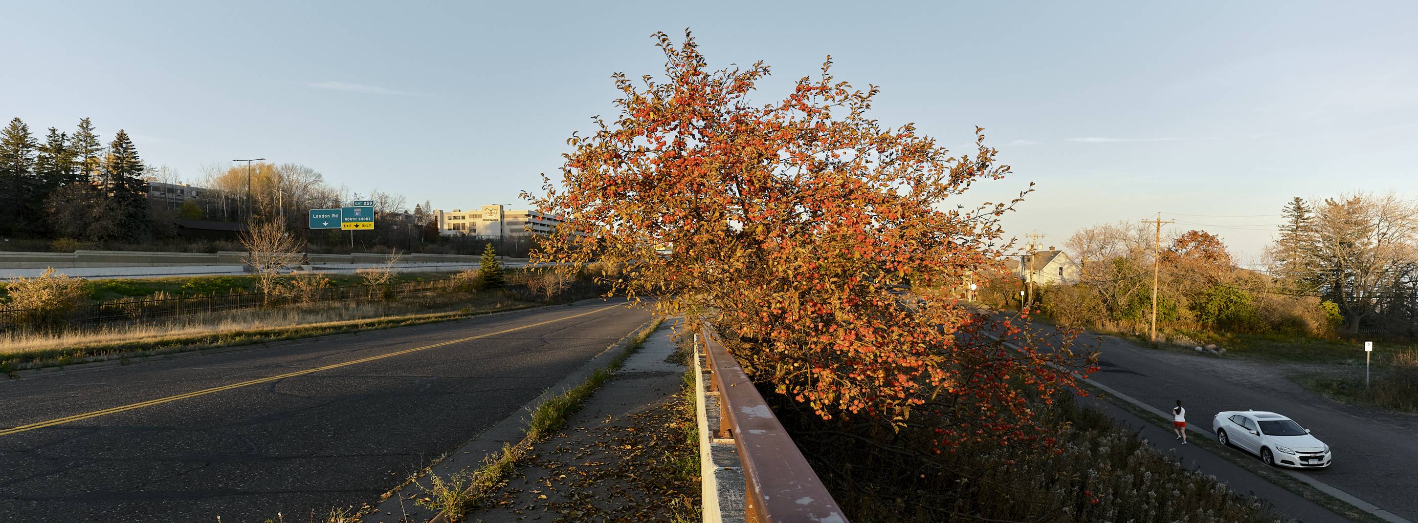 Fall Colors, Duluth, Minnesota, November 2022