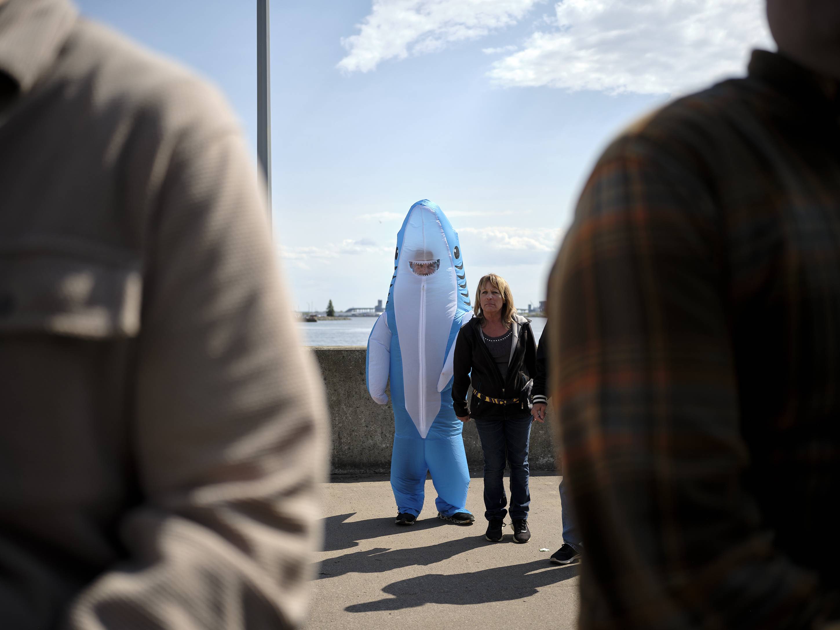 Left Shark, Duluth, Minnesota, May 2025