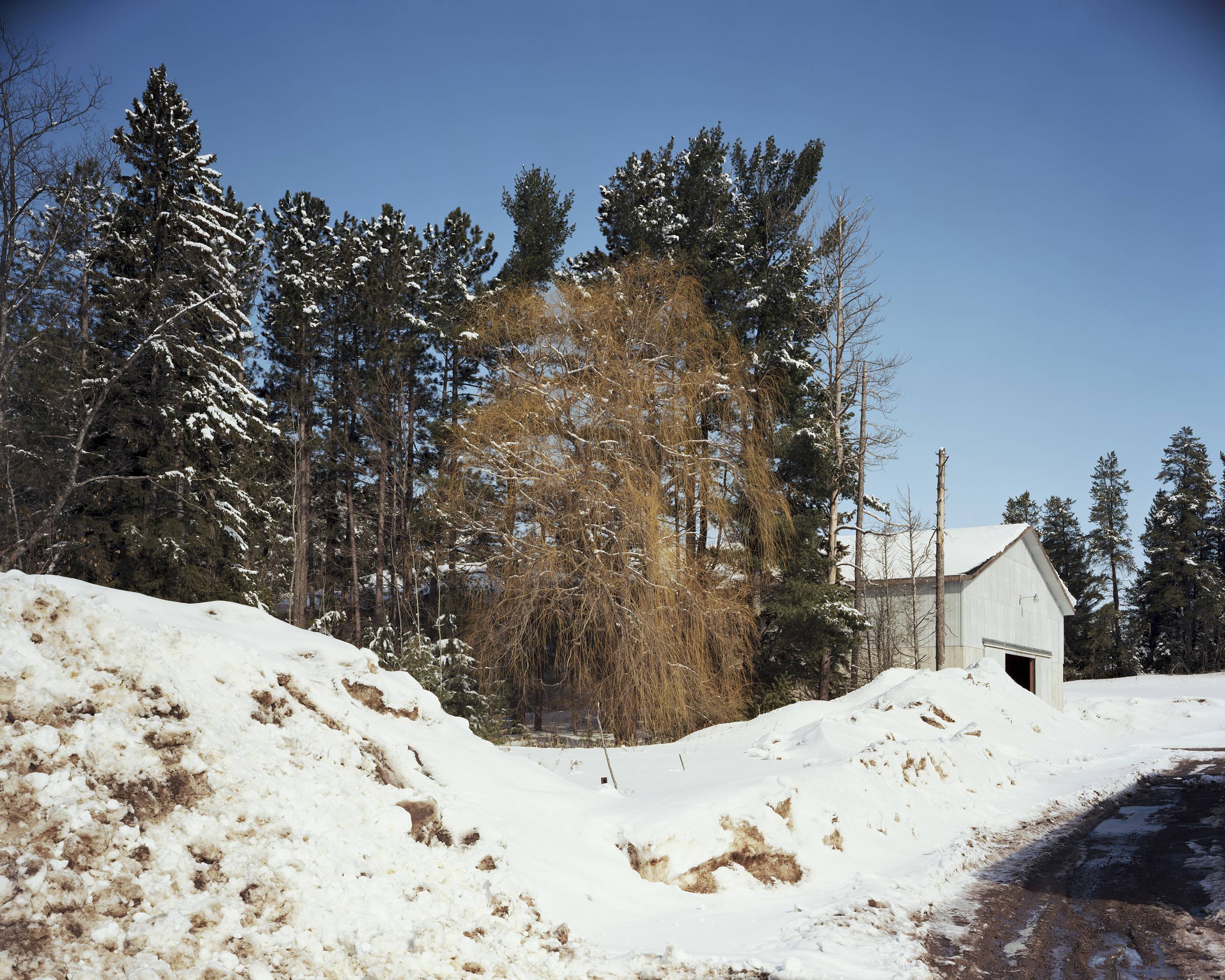 Skandia, Michigan, March 2014