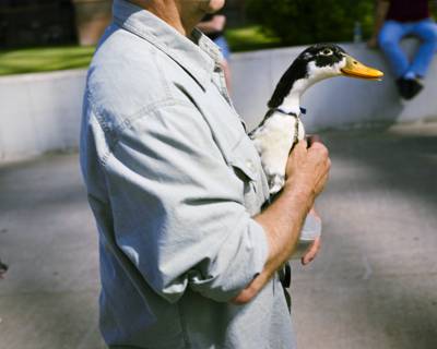 A Man and His Duck, Duluth, Minnesota, June 2011