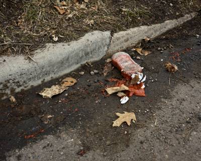 Ketchup, February 2024